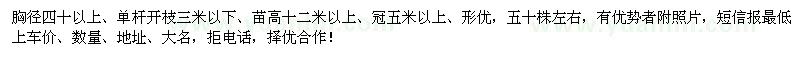 求购胸径40公分以上银杏