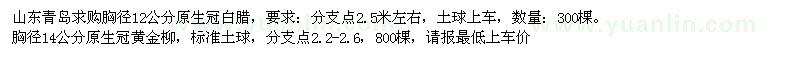 求购胸径12公分白腊、胸径14公分黄金柳