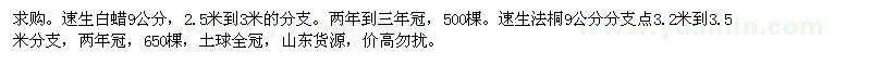 求购9公分速生法桐、速生白蜡