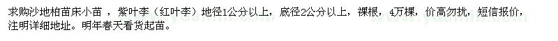 求购地径1公分以上沙地柏苗床小苗、紫叶李