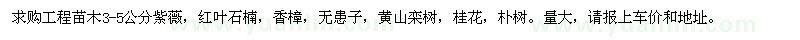 求购紫薇、红叶石楠、香樟等