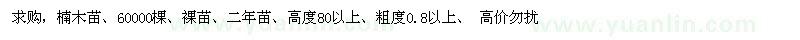 求购高80公分以上楠木苗