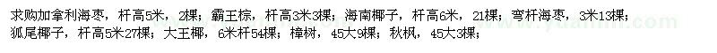 求购加拿利海枣、霸王棕、海南椰子等