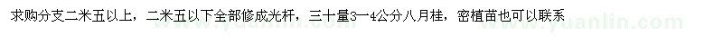 求购30量3一4公分八月桂