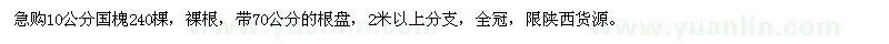 求购10公分国槐