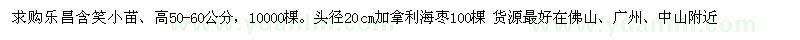 求购高50-60公分乐昌含笑、头径20公分加拿利海枣