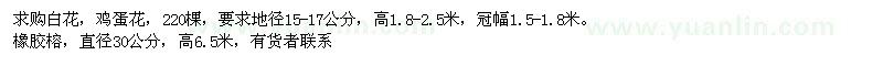 求购地径15-17公分鸡蛋花、直径30公分橡胶榕