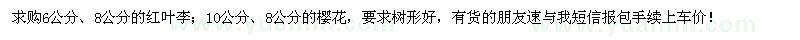 求购红叶李、樱花