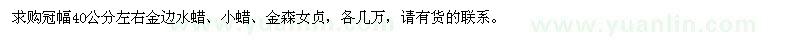 求购冠幅40公分左右金边水蜡、小蜡、金森女贞