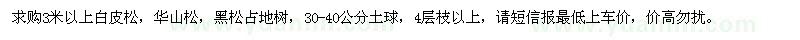 求购3米以上白皮松、华山松、黑松占地树