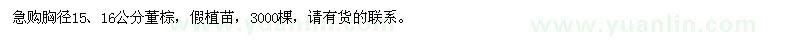 求购胸径15、16公分董棕