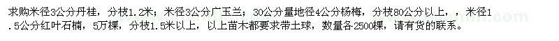 求购丹桂、广玉兰、杨梅等