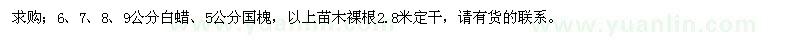 求购6、7、8、9公分白蜡、5公分国槐