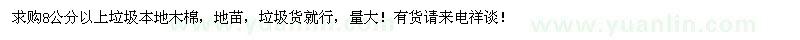 求购8公分以上本地木棉