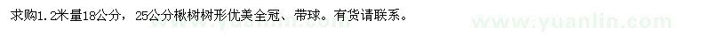 求购18、25公分楸树