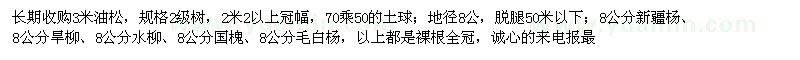 求购油松、新疆杨、旱柳等