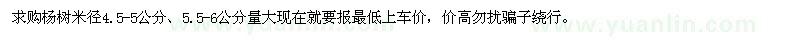 求购米径4.5-5、5.5-6公分杨树