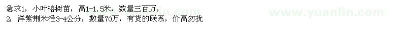 求购高1-1.5米小叶榕苗、米径3-4公分洋紫荆