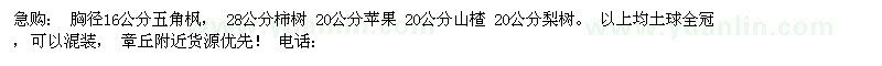 求购五角枫、柿树、苹果等