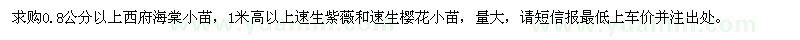 求购西府海棠小苗、速生紫薇小苗、速生樱花小苗