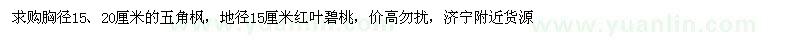 求购五角枫、红叶碧桃