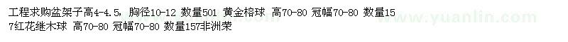 求购盆架子、黄金榕、红花继木