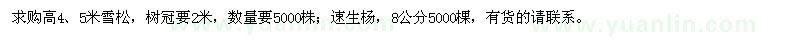 求购高4、5米雪松、8公分速生杨