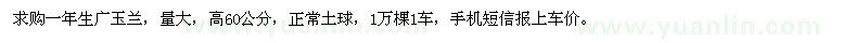 求购高60公分广玉兰1万棵