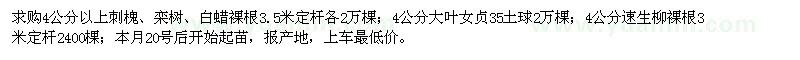 求购刺槐、栾树、白蜡、大叶女贞、速生柳