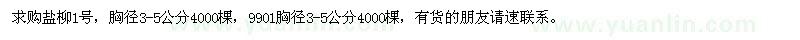 求购胸径3-5公分盐柳1号