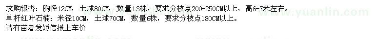 求购胸径12CM银杏,单杆红叶石楠