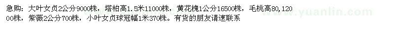 求购大叶女贞 9000株 塔柏 11000株 毛桃高80 12000株