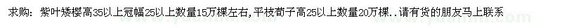 求购紫叶矮樱高35以上冠幅25以上数量15万棵左右