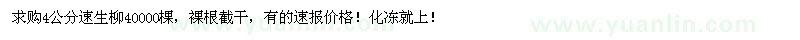 求购4公分速生柳4万棵