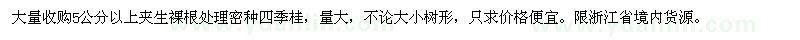 求购5公分以上四季桂