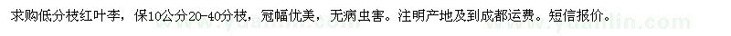 求购低分枝红叶李，保10公分20-40分枝