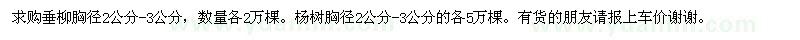 求购垂柳胸径杨树胸径2公分-3公分