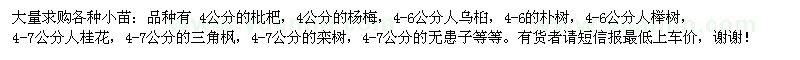 求购枇杷\杨梅、人乌桕等