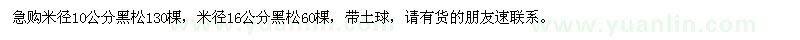 求购米径10公分、16公分黑松