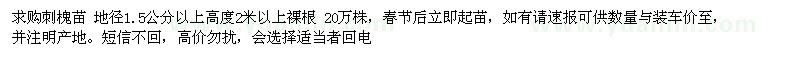 求购刺槐苗 地径1.5公分以上高度2米以上裸根 20万株