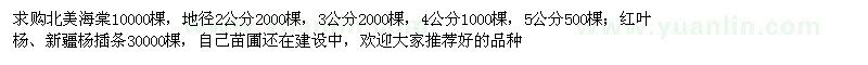 求购北美海棠、红叶杨、新疆杨插条