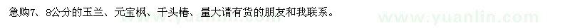 求购玉兰、元宝枫、千头椿