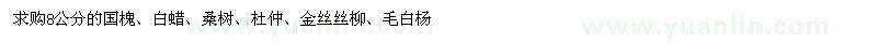 求购8公分的国槐、白蜡、桑树、杜仲、金丝柳、毛白杨