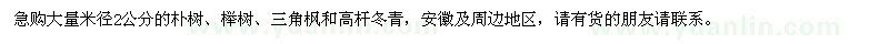 求购米径2公分的朴树 榉树、三角枫和高杆冬青