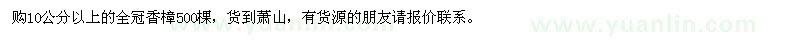 求购10公分以上的全冠香樟500棵