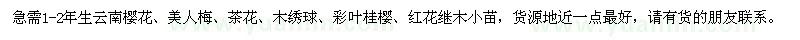 求购云南樱花、美人梅、茶花、木绣球、彩叶桂樱、红花继木小苗