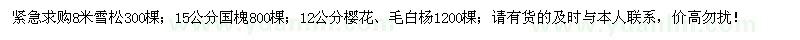 求购雪松、国槐、樱花、毛白杨