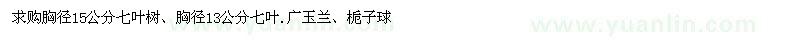 求购七叶树、广玉兰、栀子球 