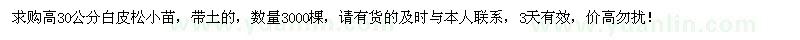 求购高30公分白皮松小苗3000棵