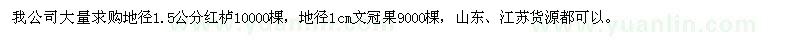 求购红栌、文冠果